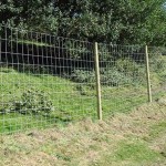 Low cost fence for woods