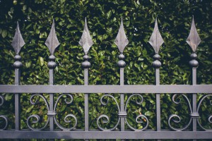 iron fence with green leaves background, vintage