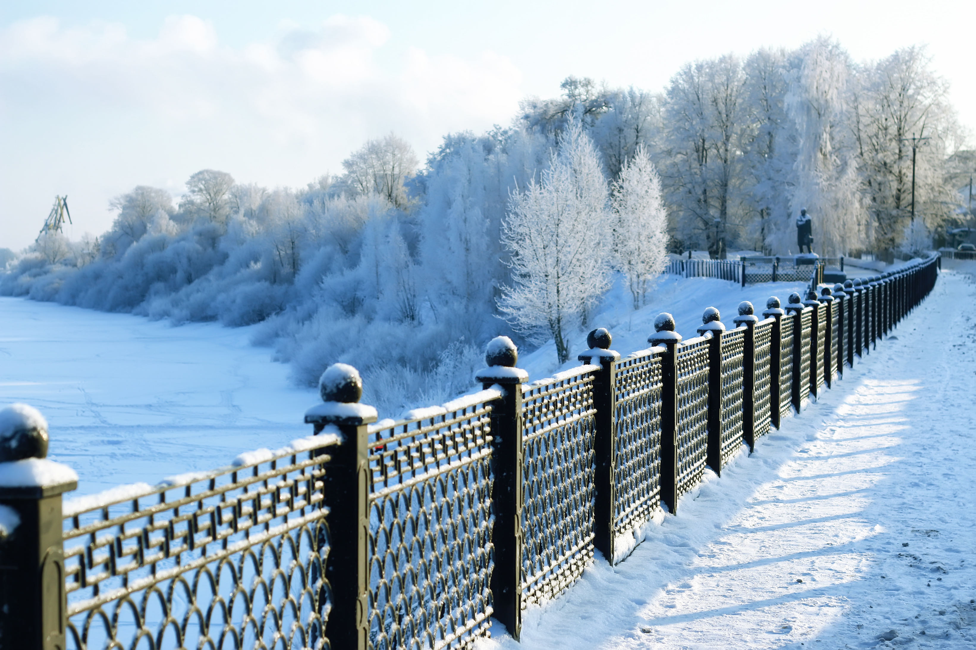 Winter Fence Protection